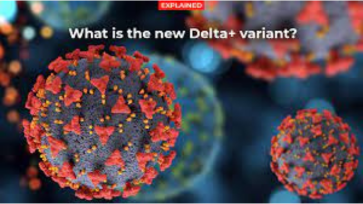 What is Delta Plus Variant?